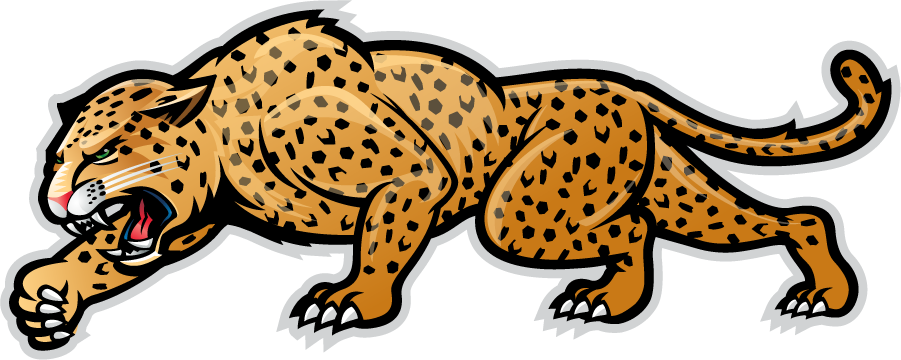 IUPUI Jaguars 2007-2017 Secondary Logo diy DTF decal sticker